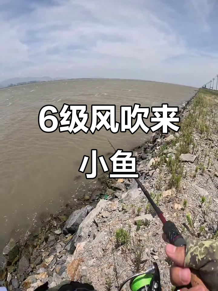 风大海钓(大风海钓是钓底还是钓浮)