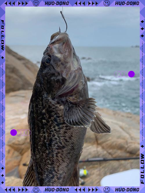 威海海钓图片大全(威海海钓基地怎么收费的)