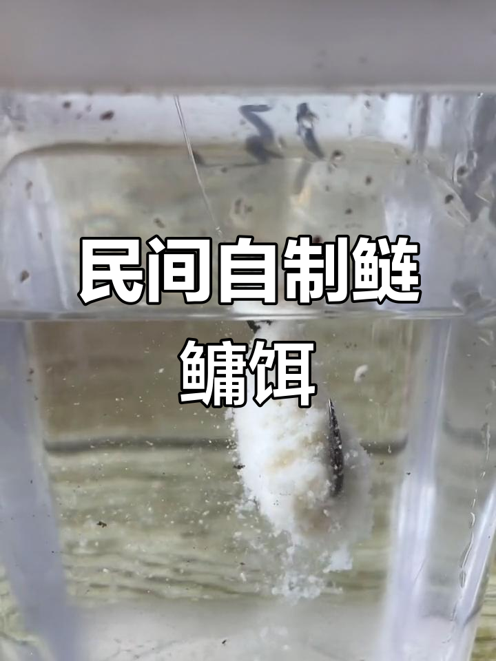 自制钓饵料(自制钓饵配方)