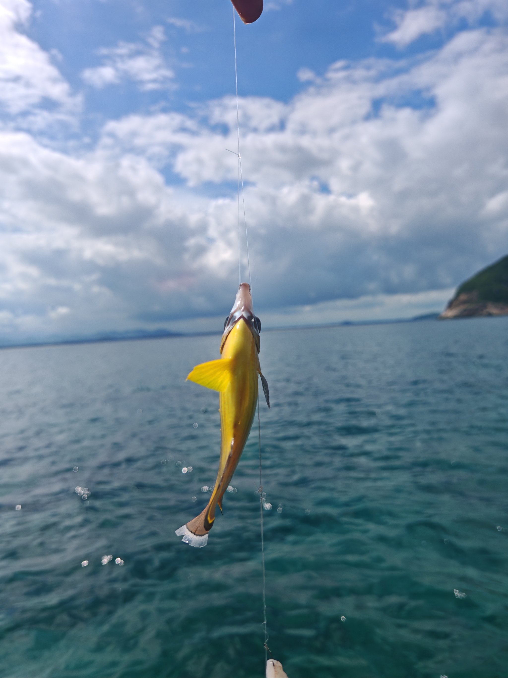 旅顺海钓地点(旅顺海钓哪里最好)