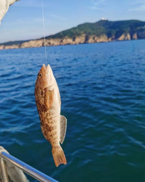 山东省荣成海钓(荣成钓海鱼的地方)