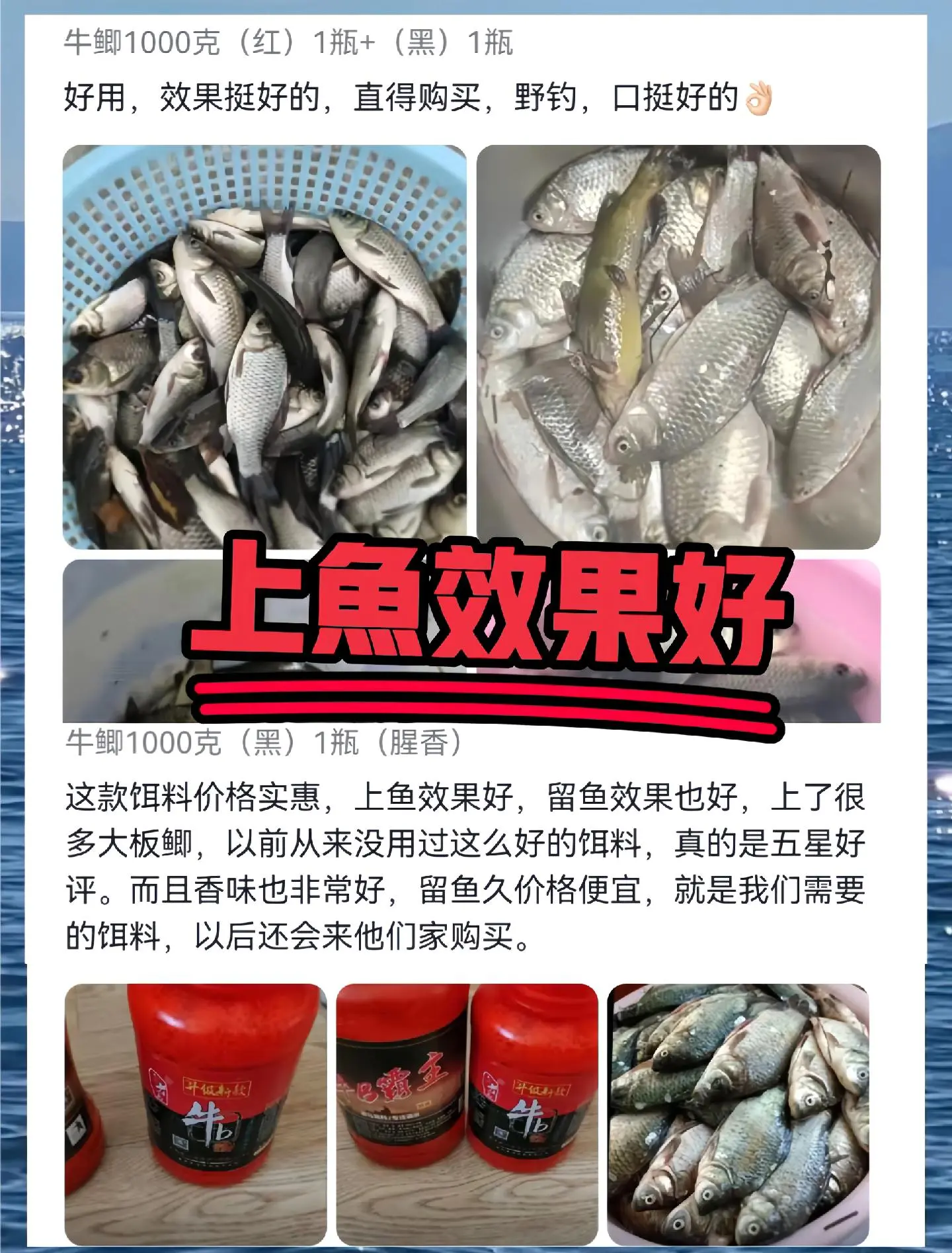 天窝饵料的使用方法(天元天窝饵冬季)