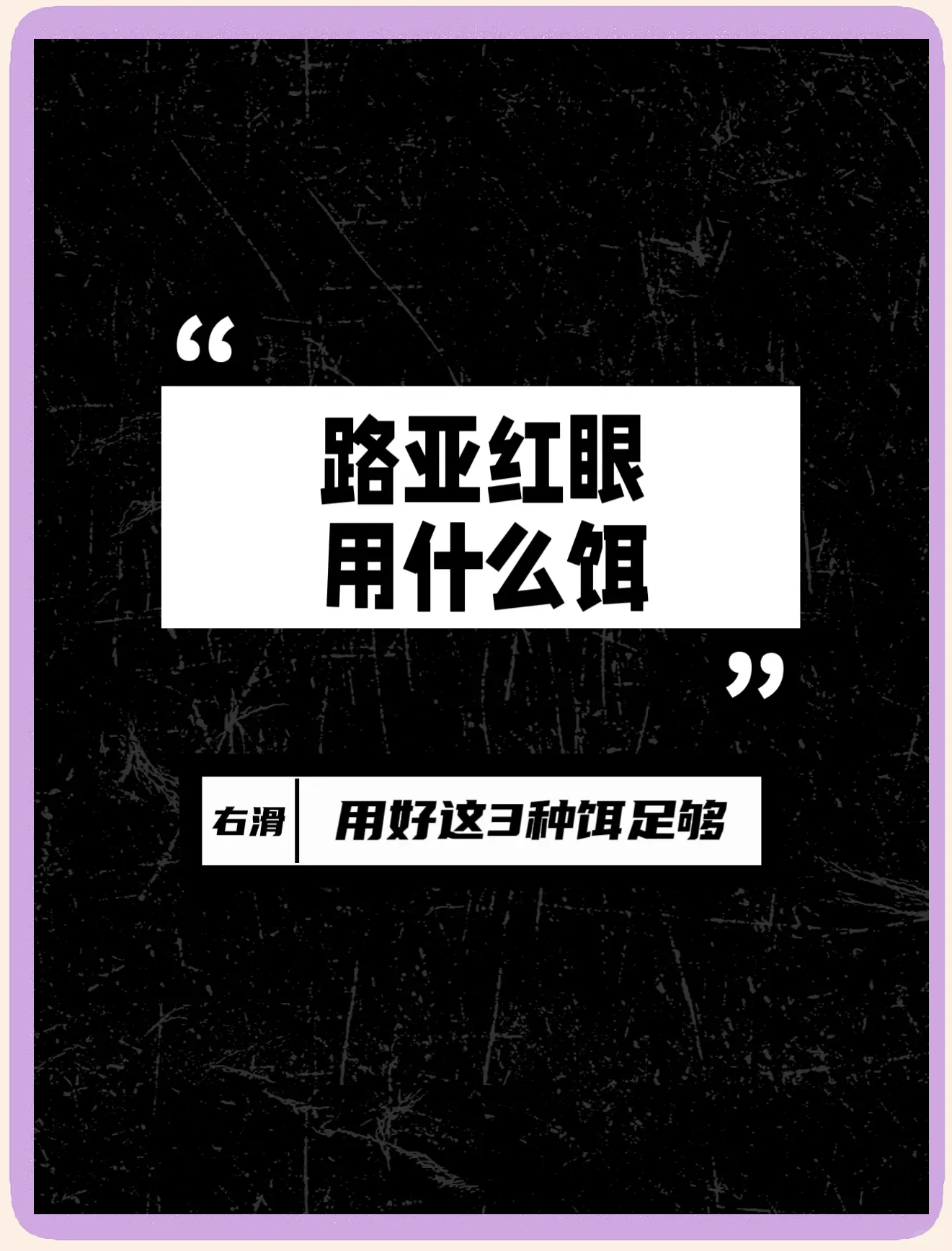 红眼怎么路亚(红眼如何路亚)