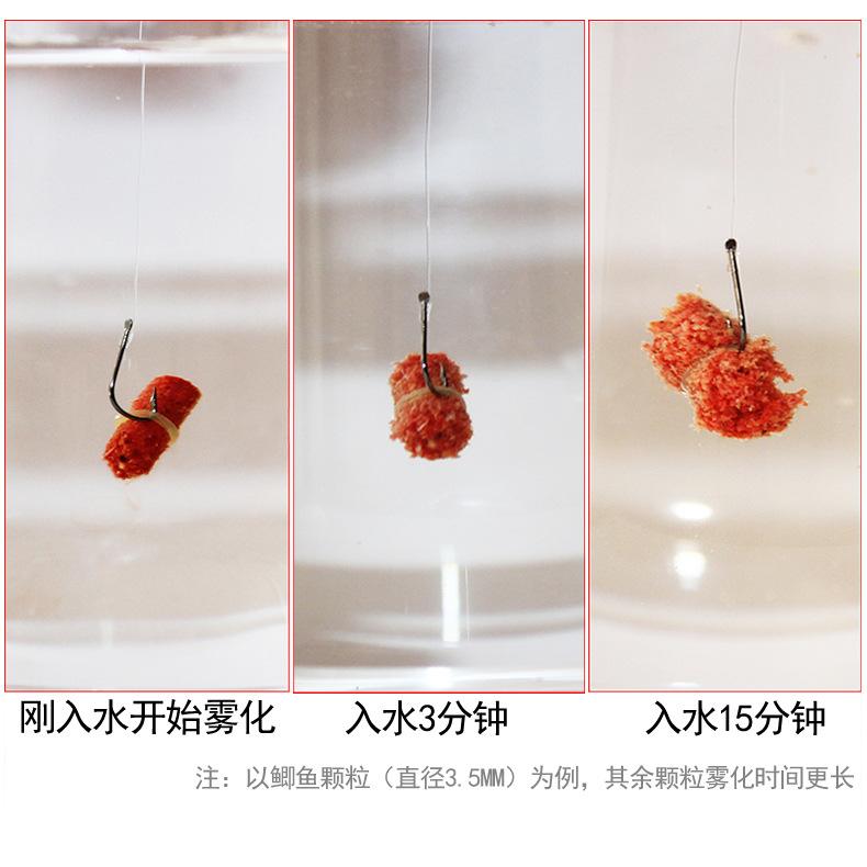 饵料盒怎么挂(饵料盒怎么挂钩子)