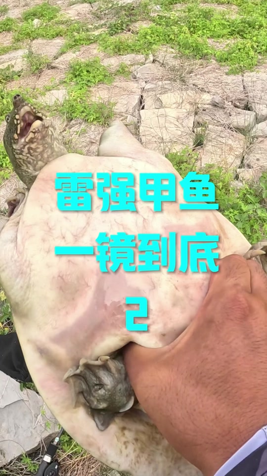 路亚打黑2016视频(路亚打黑需要哪些装备)