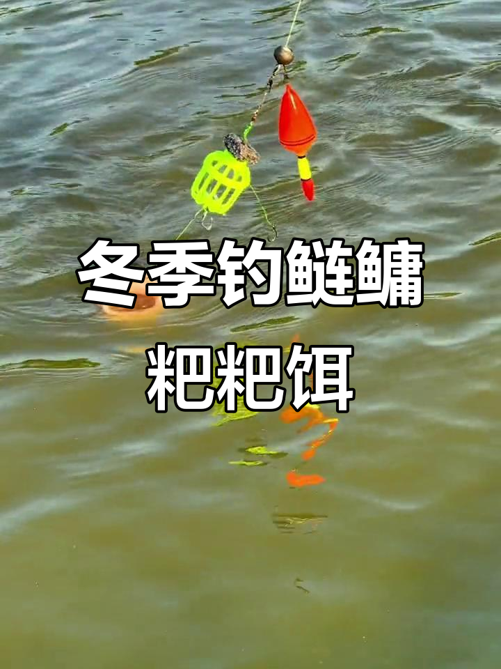 鲢鳙冬天饵料(冬天钓鲢鳙用什么味型饵料最好)