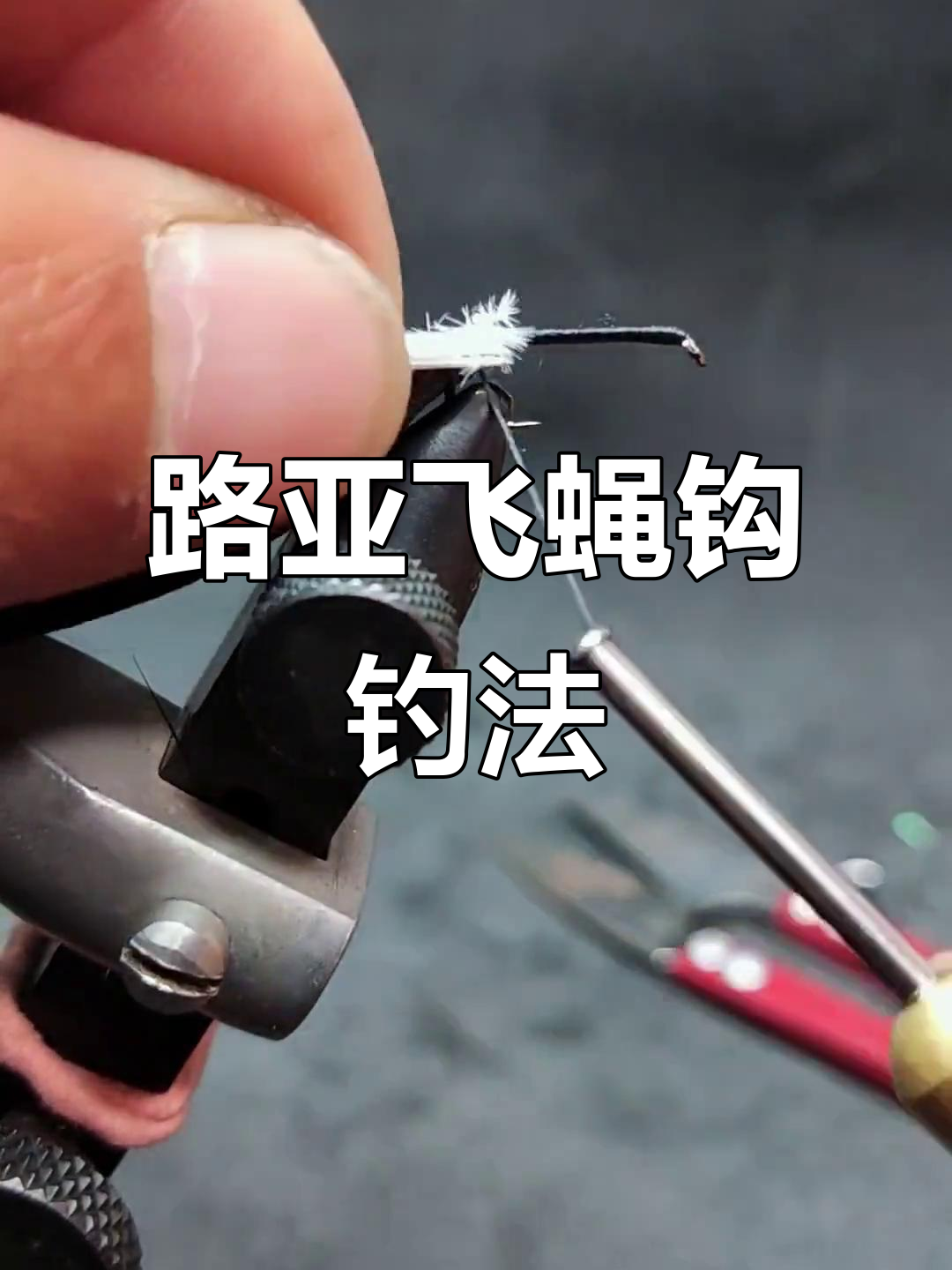 路亚飞蝇钓视频(路亚飞蝇钓法怎么配坠)
