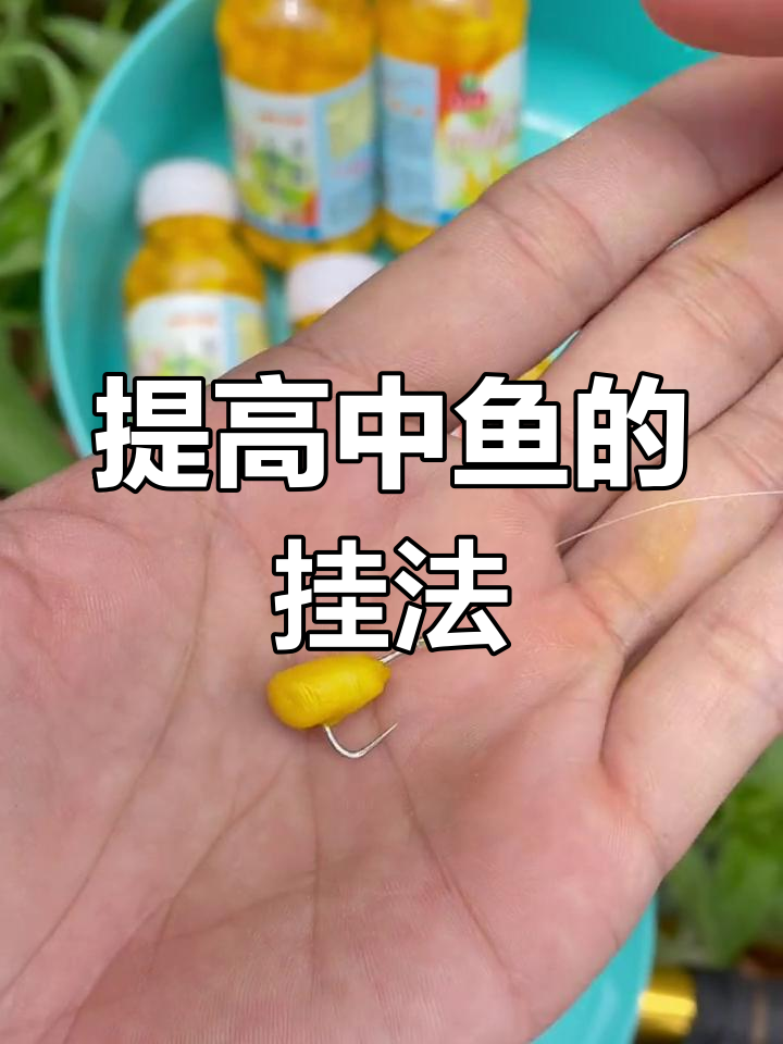 夏季嫩玉米钓鱼技巧(嫩玉米钓鱼是钓底还是钓浮)