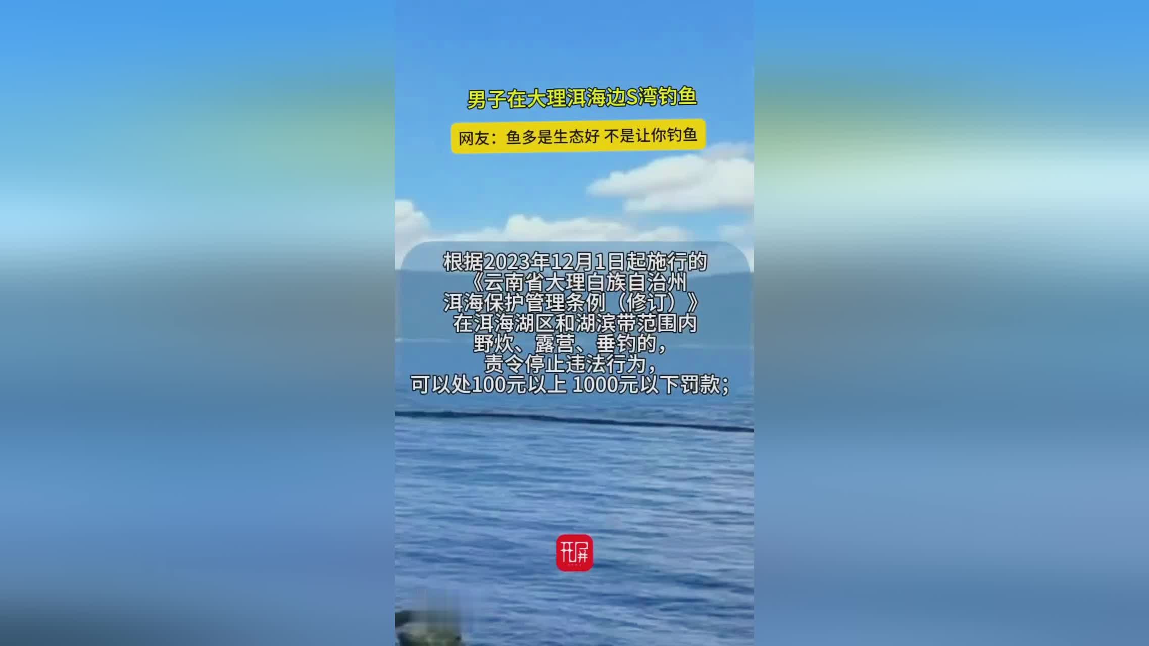 洱海钓鱼政策(洱海有什么鱼可以钓鱼吗)