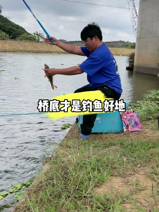 冬季桥钓技巧(冬季桥上钓鲫鱼技巧)