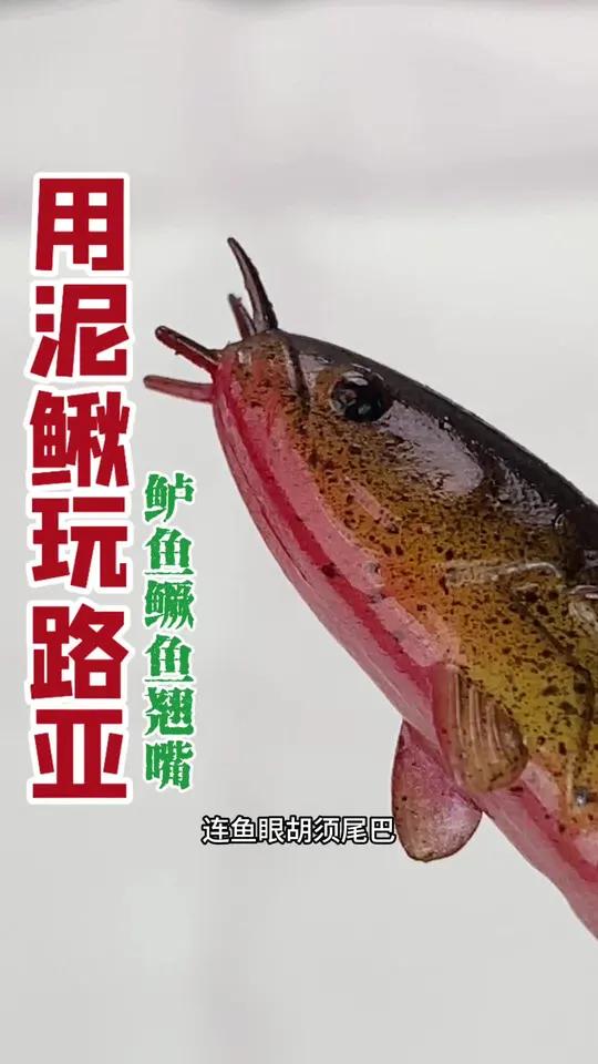 路亚钓泥鳅料(路亚泥鳅钓底还是钓浮)
