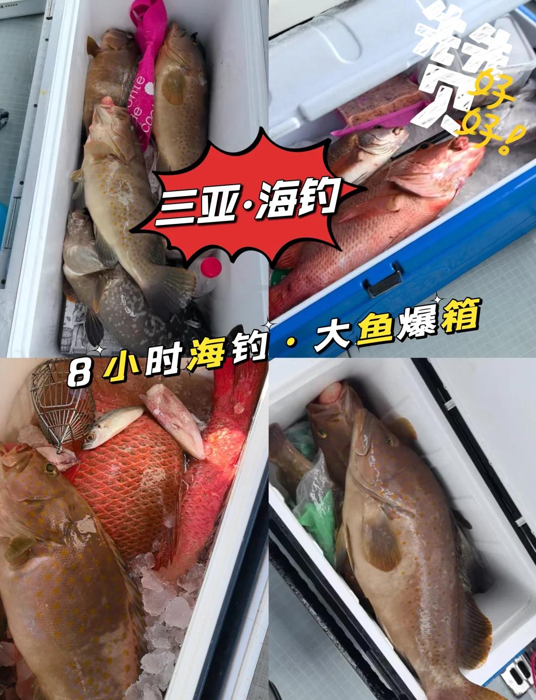 海钓怎么钓最简单(海钓怎么钓最简单视频)