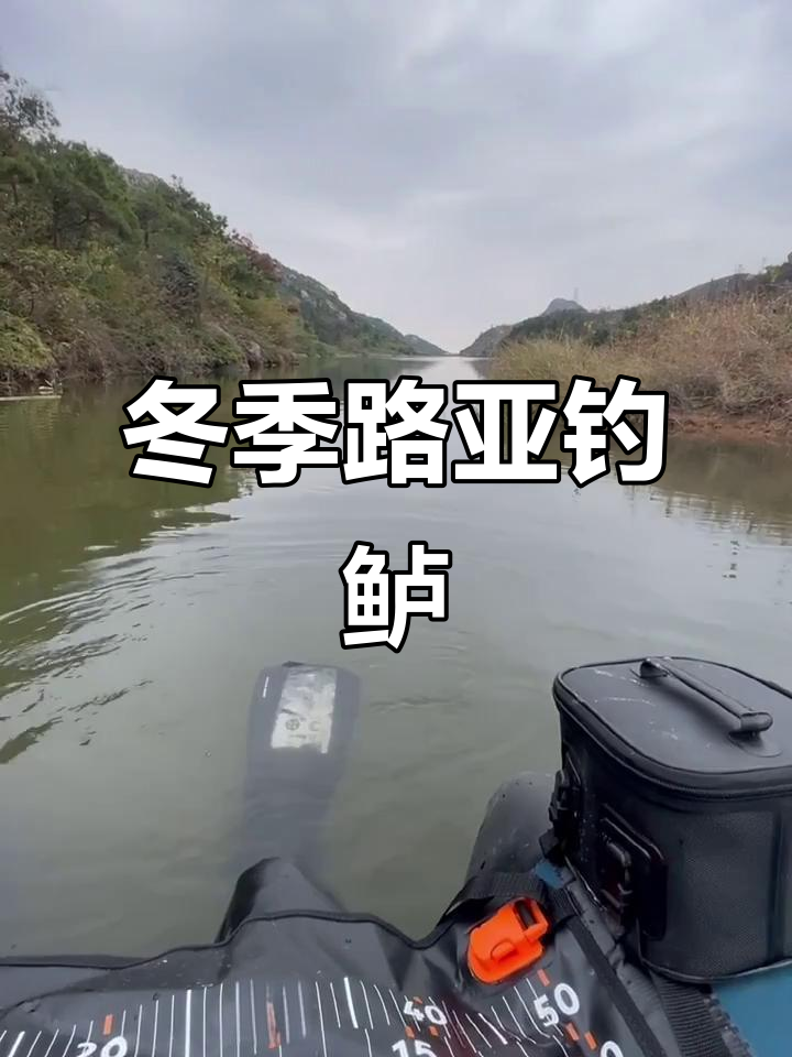 北方路亚冬季(冬天北方路亚)