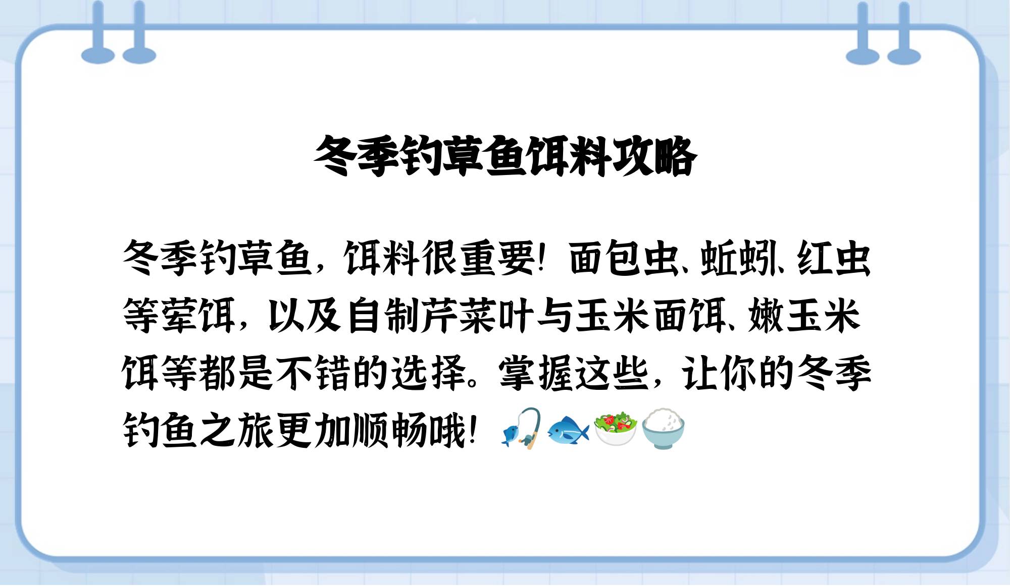 冬季如何选择饵料(冬季用什么商品饵)