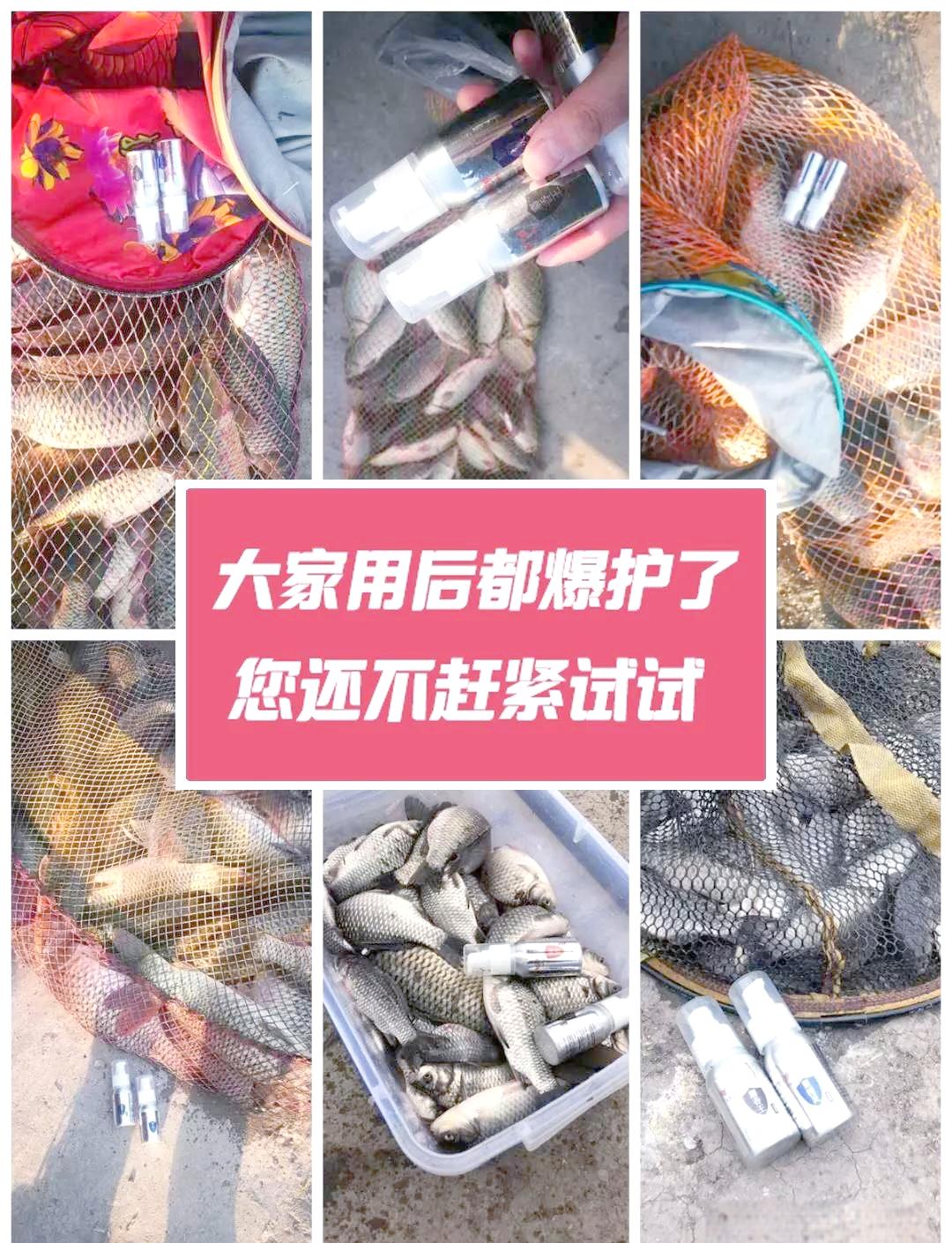夏季鱼塘钓鲫鱼技巧(夏天钓鱼塘用什么诱饵好)