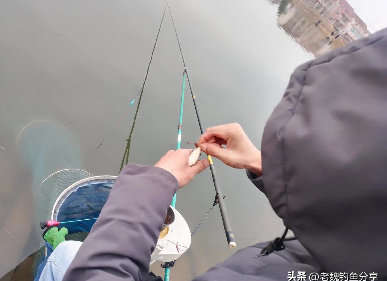 长时间钓鱼打窝技巧(持续打窝)