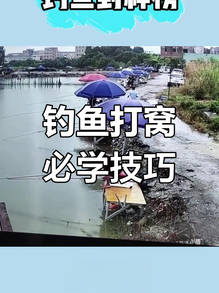 长时间钓鱼打窝技巧(持续打窝)