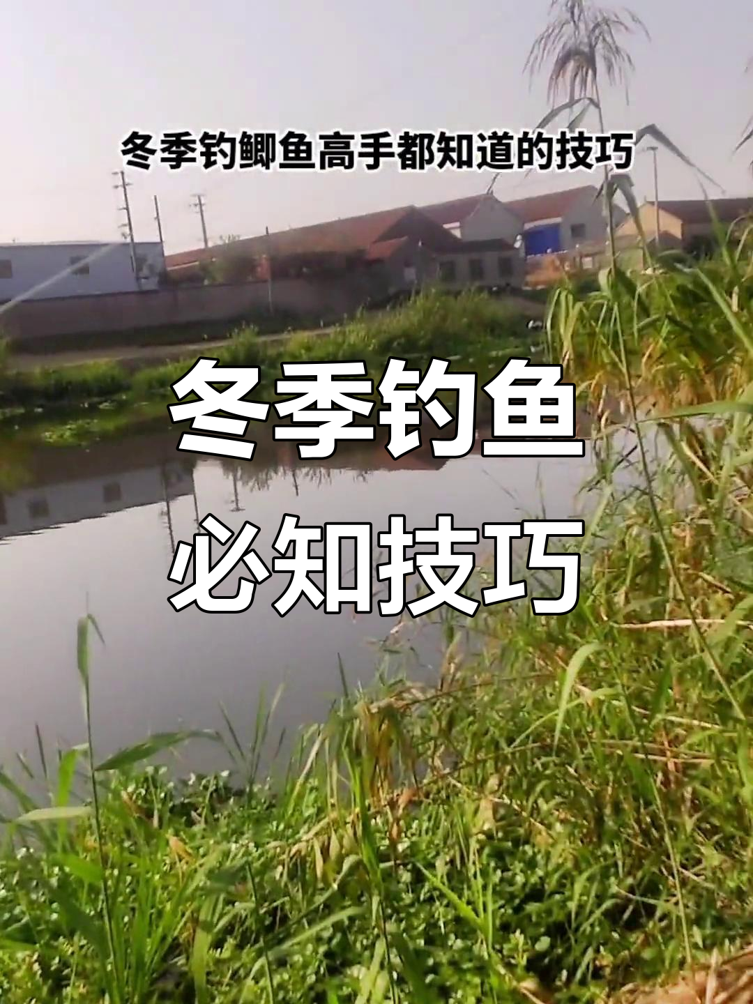 最新冬钓鲫鱼技巧(冬钓鲫鱼四个口诀)
