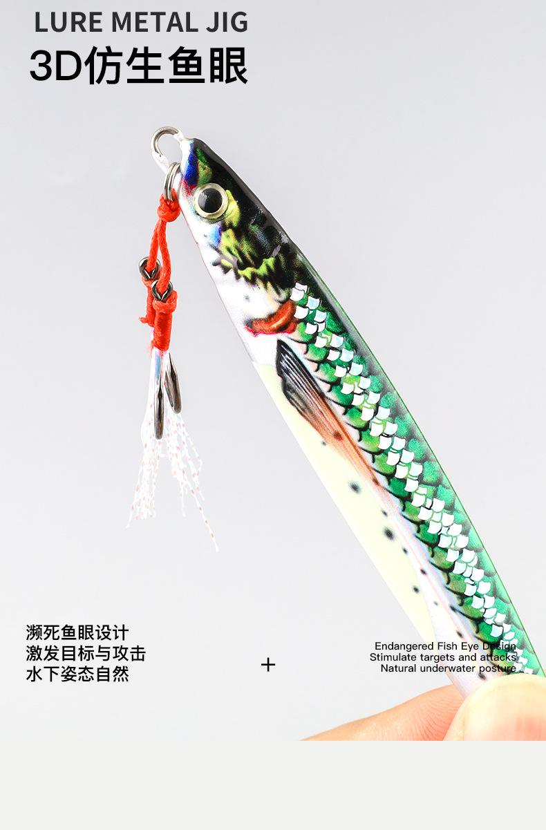 大连抽铁板海钓鲅鱼(大连海钓各月份)