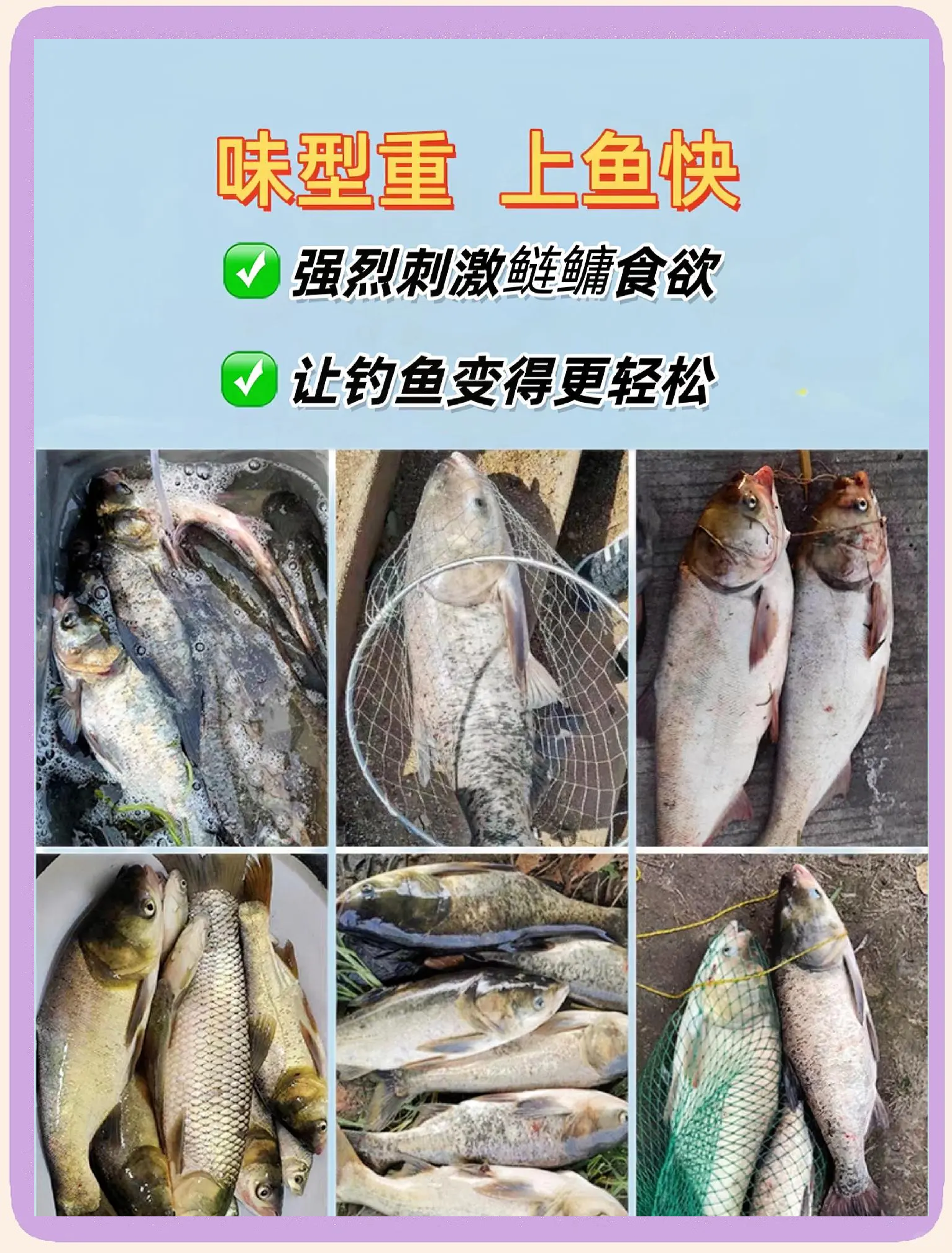 臭酸味饵料好用吗(酸臭鱼饵)