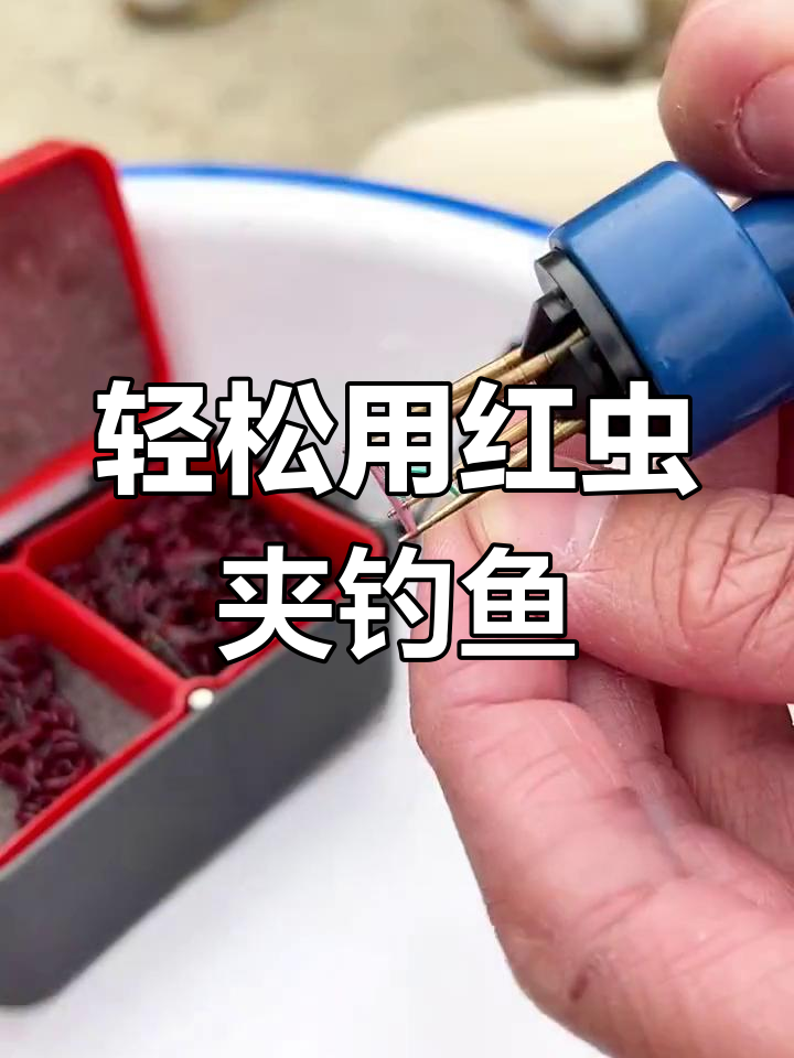 红虫粉技巧(红虫粉怎么配饵)