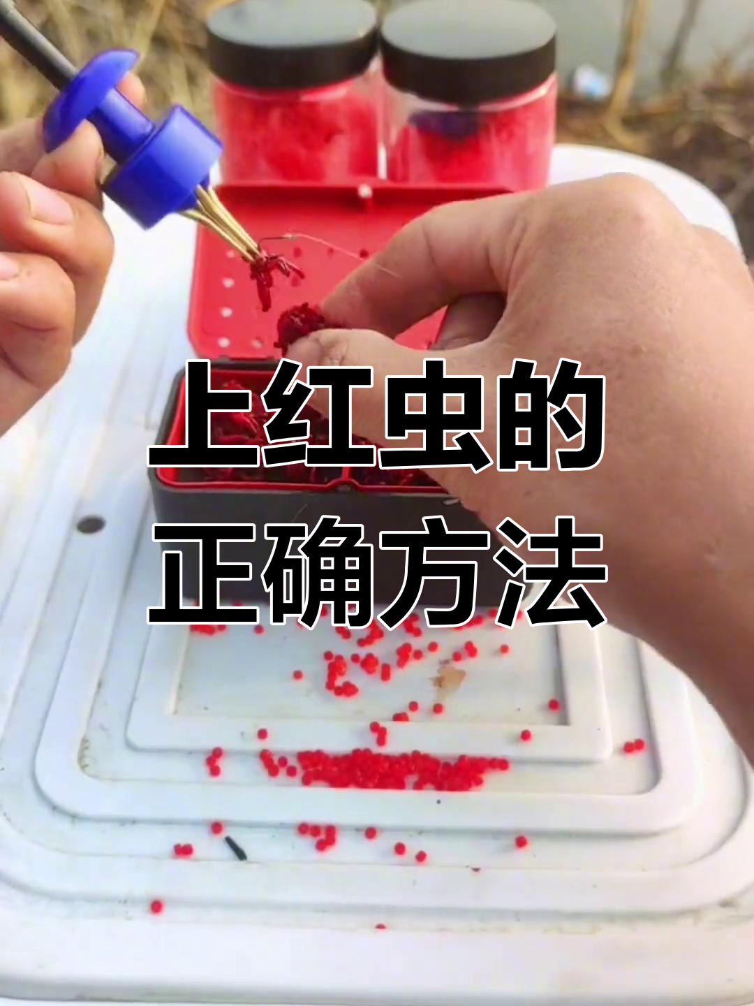 红虫粉技巧(红虫粉怎么配饵)