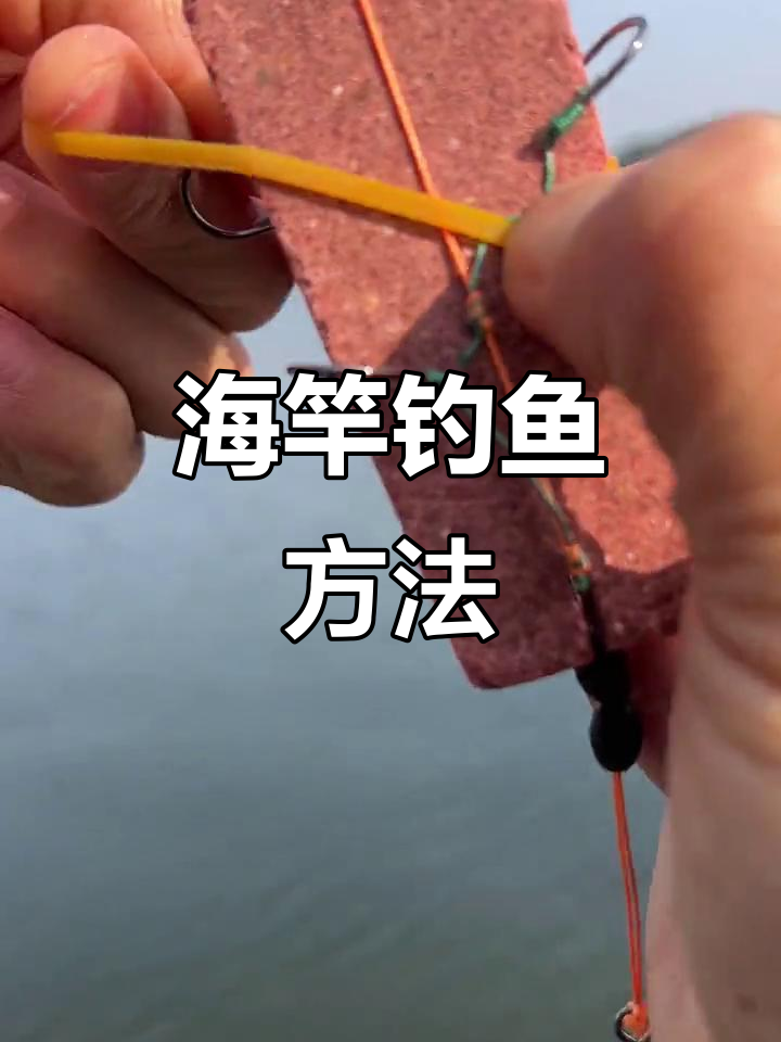 海杆上大鱼的技巧(海杆上大鱼的技巧和方法)