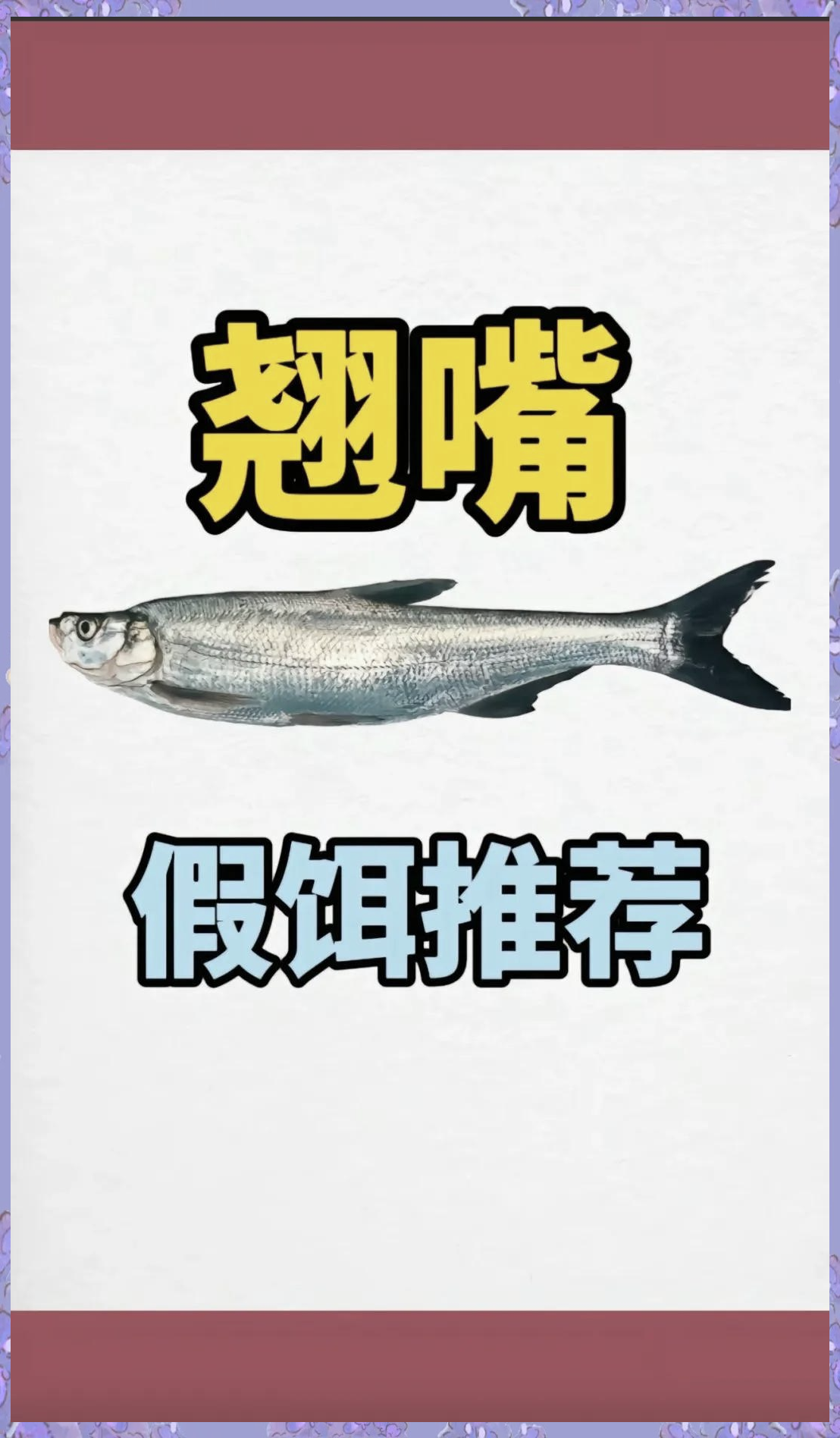 现在钓翘嘴用什么饵料(现在钓翘嘴怎么钓)