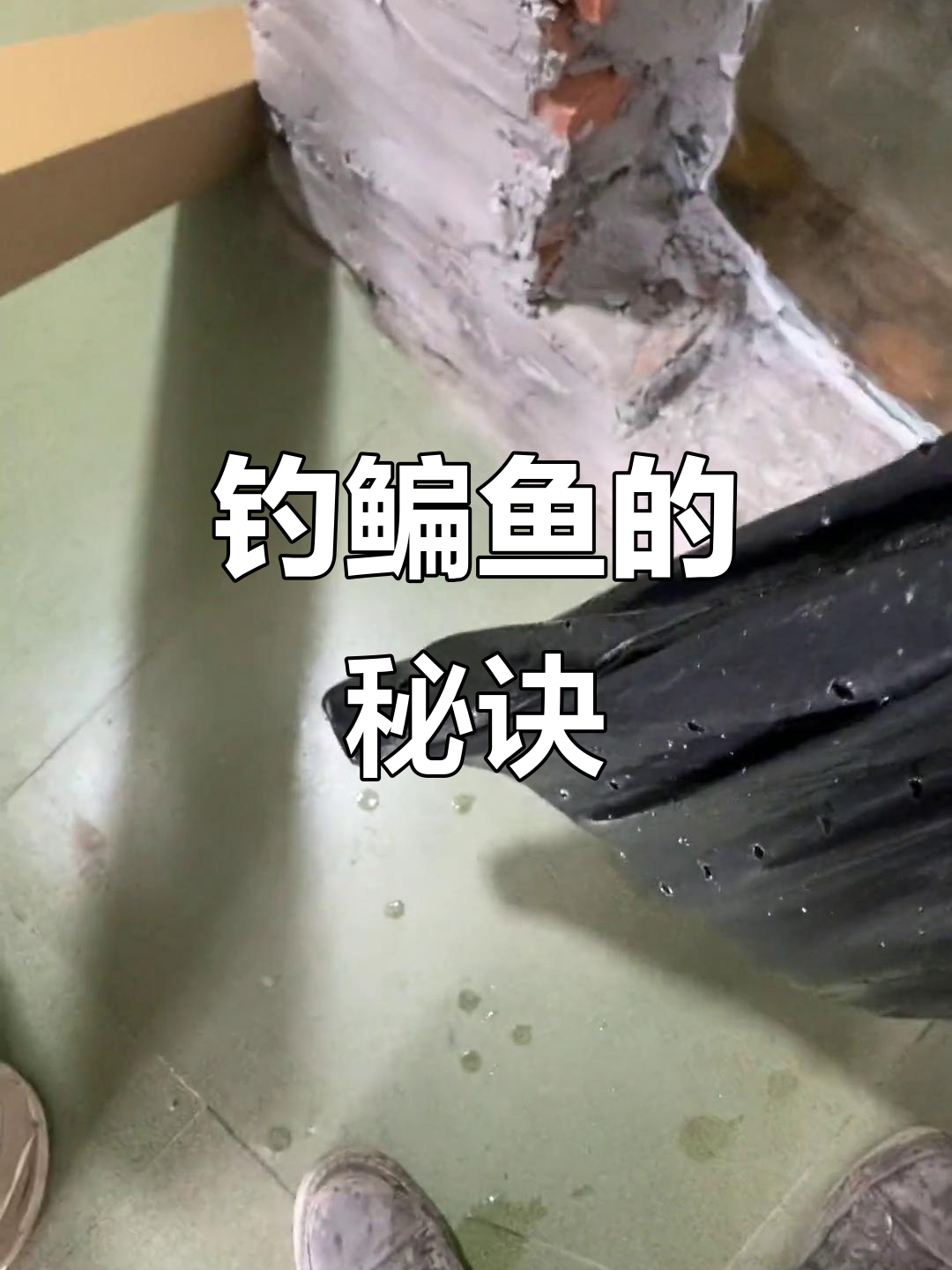 夏天在黑坑钓鳊鱼技巧(黑坑鳊鱼钓法)