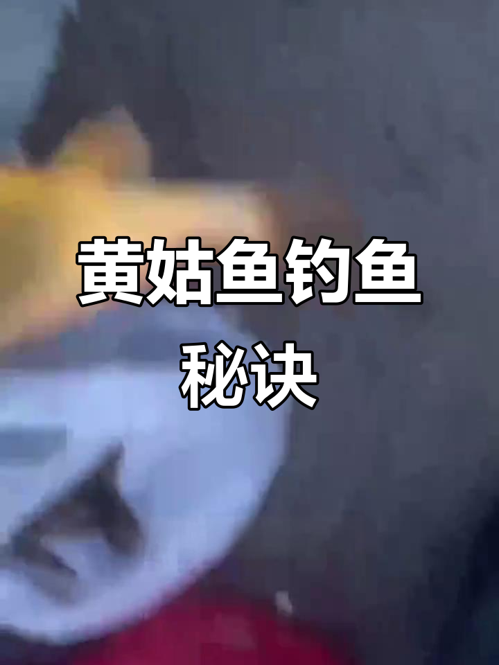 夜钓黄姑技巧(夜钓黄姑技巧视频教程)