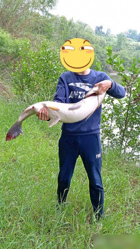 河流野钓草鱼技巧(野河钓草鱼饵料配方)