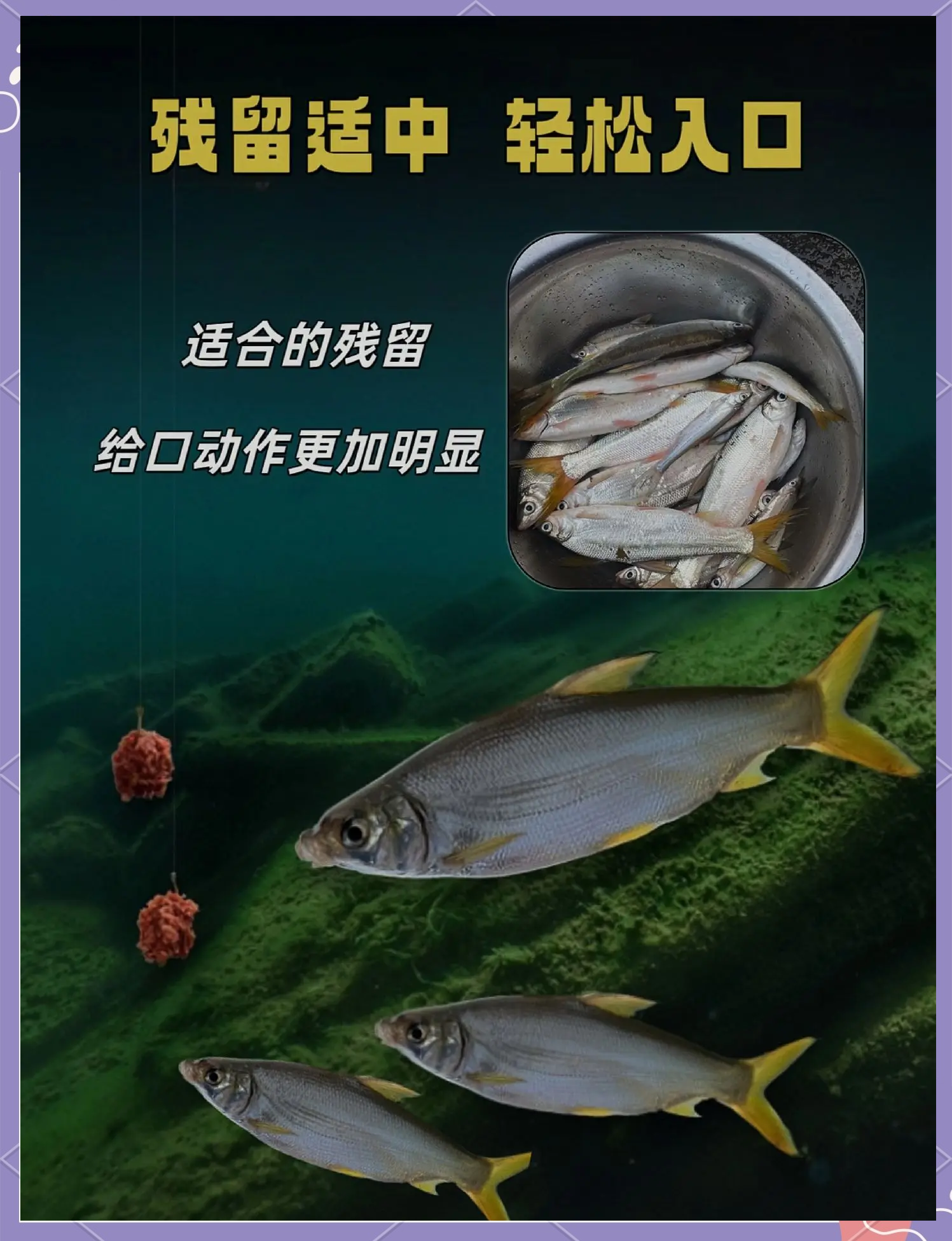 海钓黄鱼什么饵最好(海钓黄鱼用多大鱼钩)