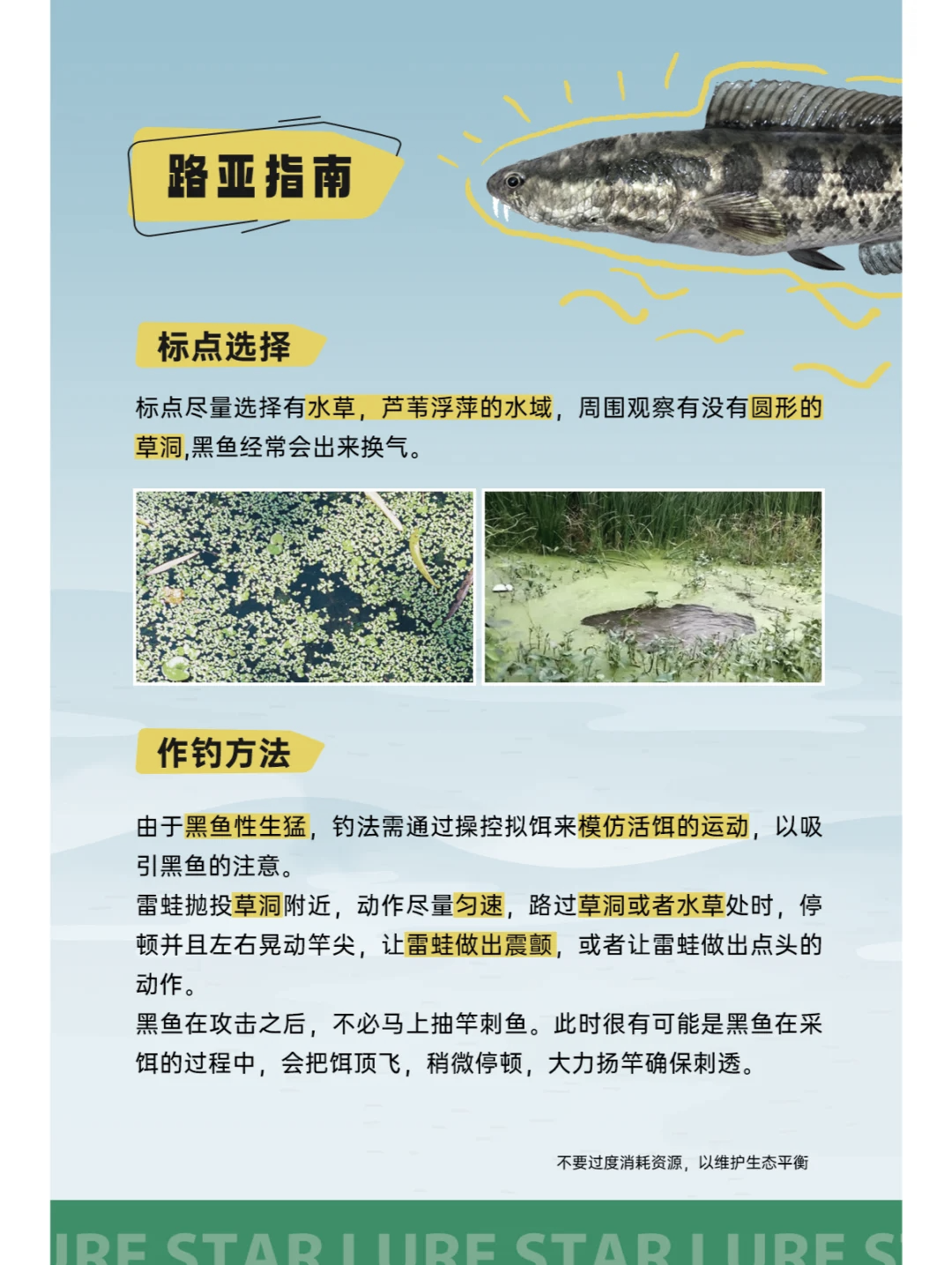路亚水库黑鱼技巧(路亚钓黑鱼视频高清讲解)