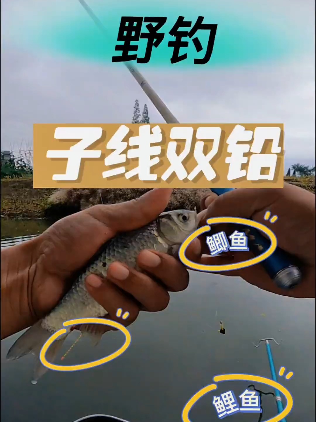 夏季阴雨天钓鲫鱼技巧(夏季阴雨天怎么钓鲫鱼)