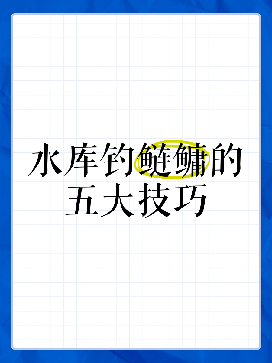 鲢鱼野钓技巧视频教程(鲢鱼野钓技巧视频教程全集)