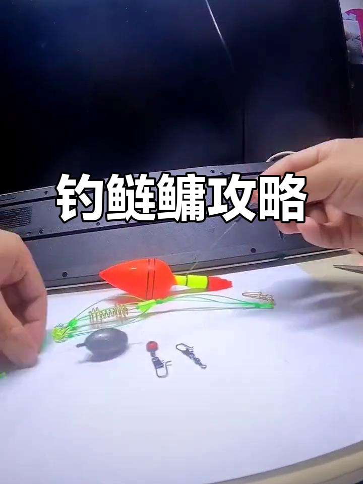 鲢鱼野钓技巧视频教程(鲢鱼野钓技巧视频教程全集)
