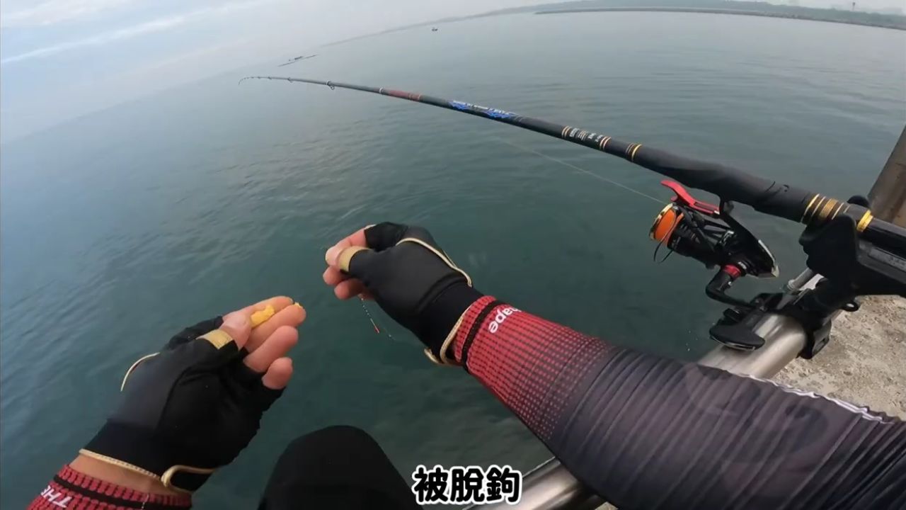 海钓如何看鱼上钩(海钓怎么看漂)