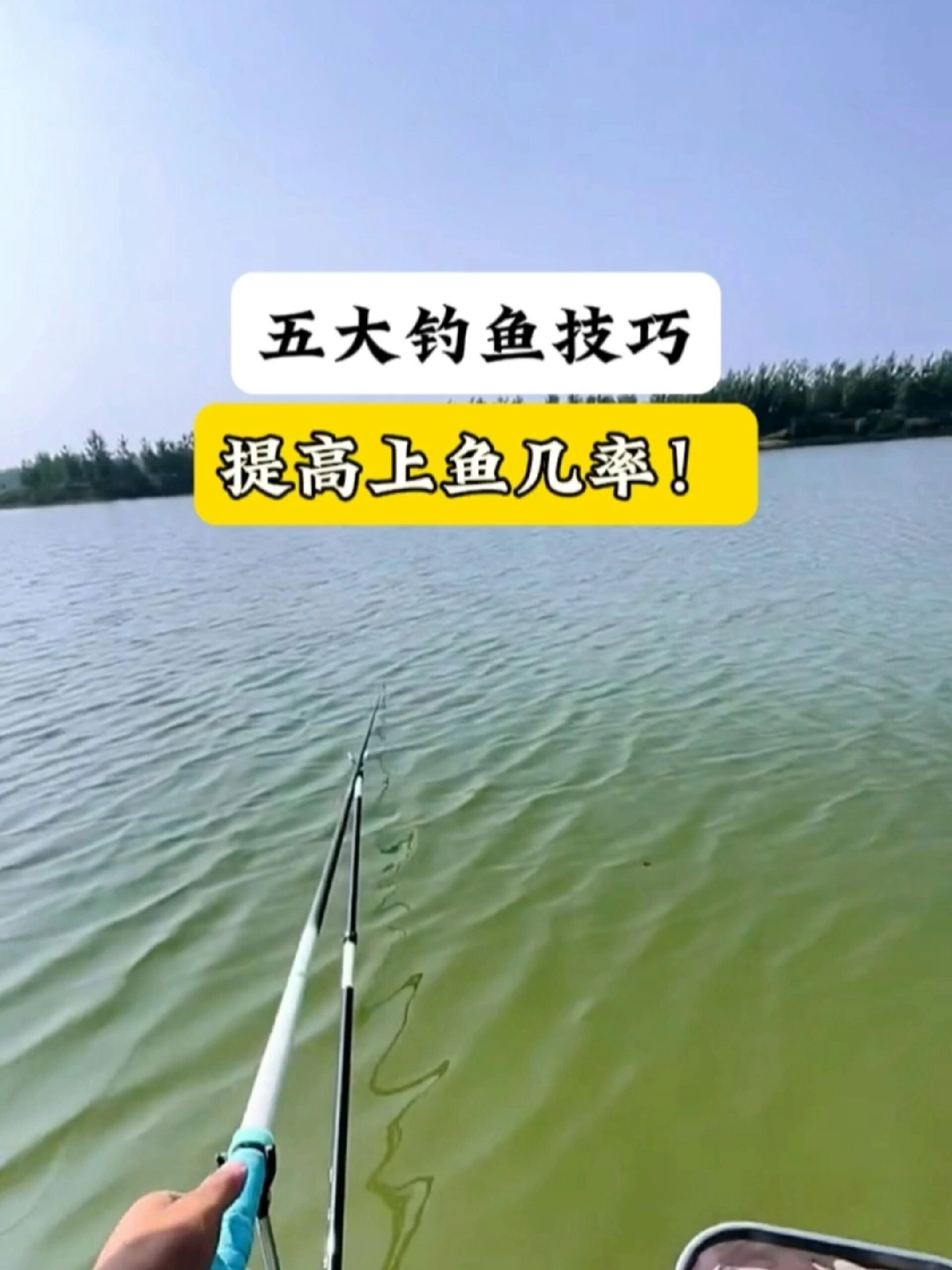 上鱼-钓鱼技巧大全(上钓是什么意思)