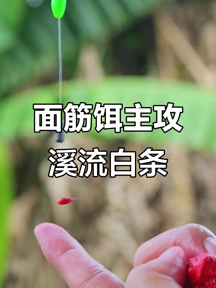 溪流钓白条技巧(溪水钓白条)