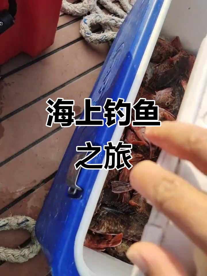 海钓船钓打窝技巧(海钓船钓打窝技巧视频)