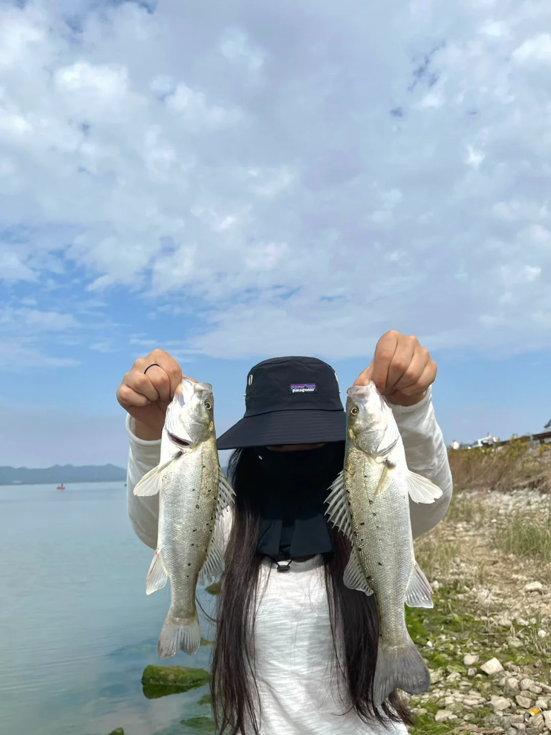 小汐路亚海鲈(海鲈鱼图片大图)