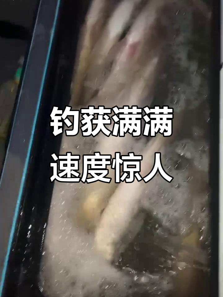 竞技钓鱼技巧视频直播(国外钓鱼视频野钓实战)