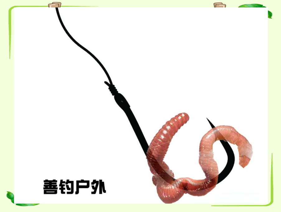 蚯蚓野钓技巧(野钓蚯蚓钓鱼视频)