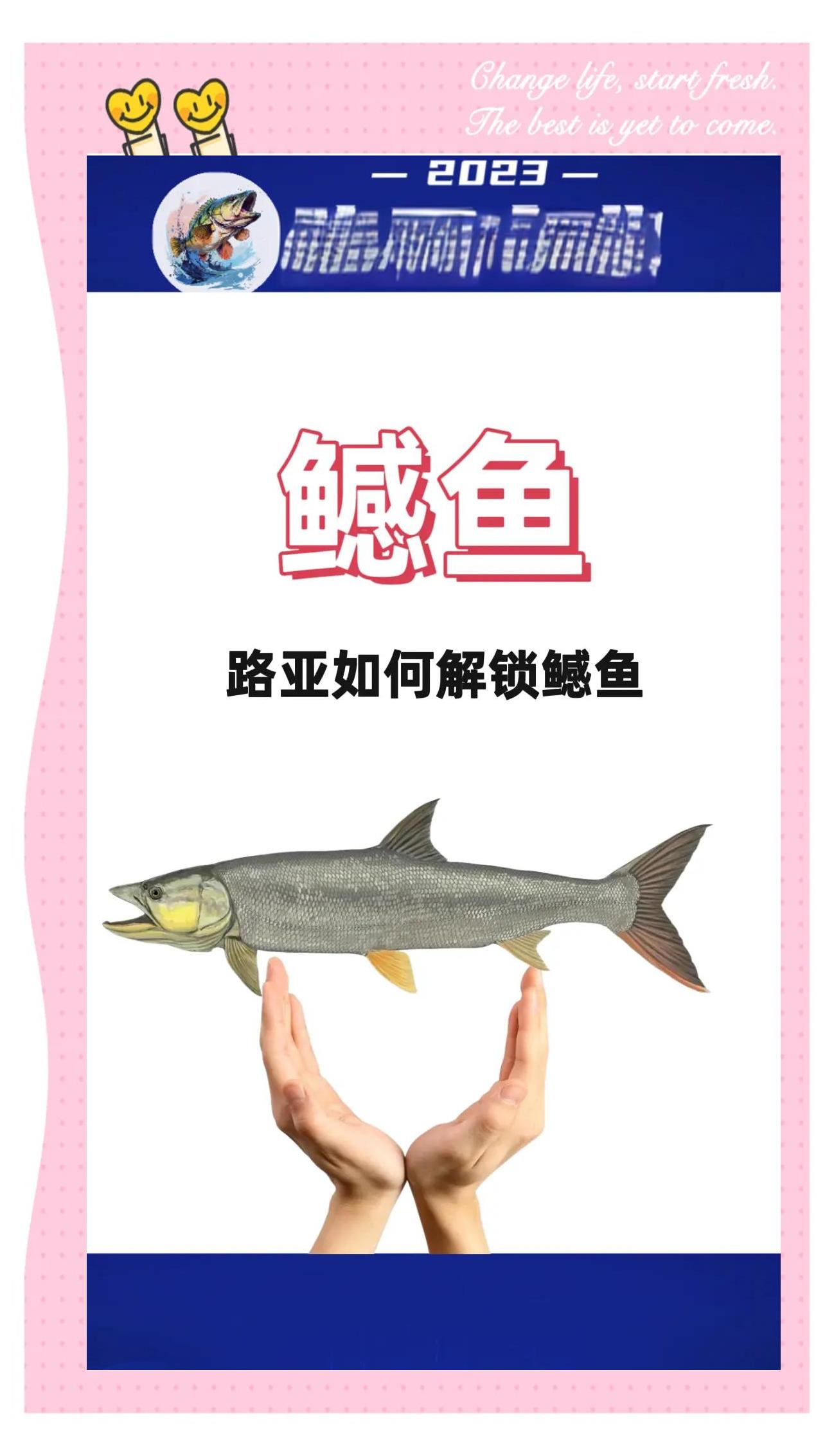 南方路亚选择(路亚竿在南方水库能钓到什么)