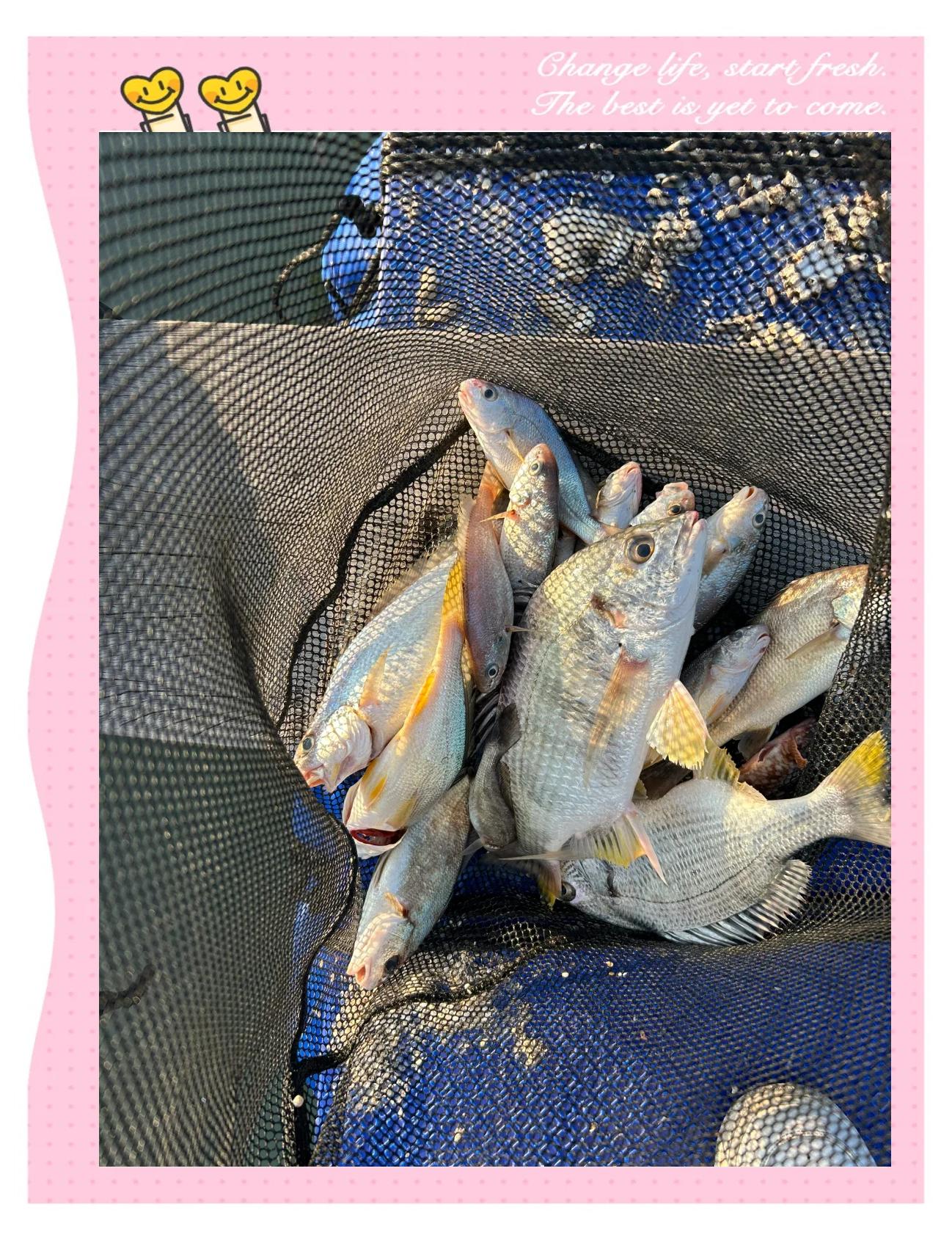 深海筏钓技巧(深海垂钓 攻略)