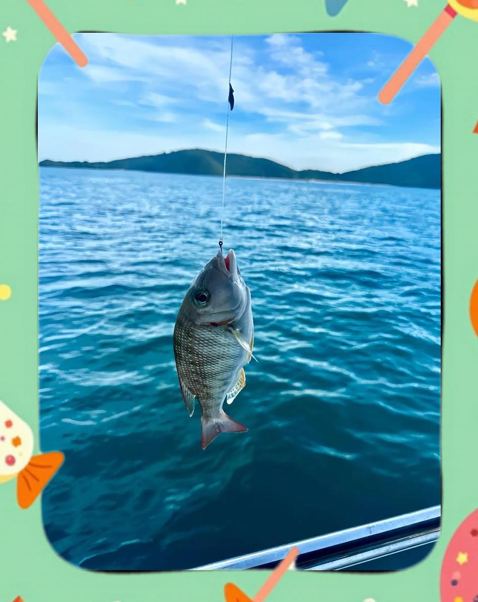 深海筏钓技巧(深海垂钓 攻略)