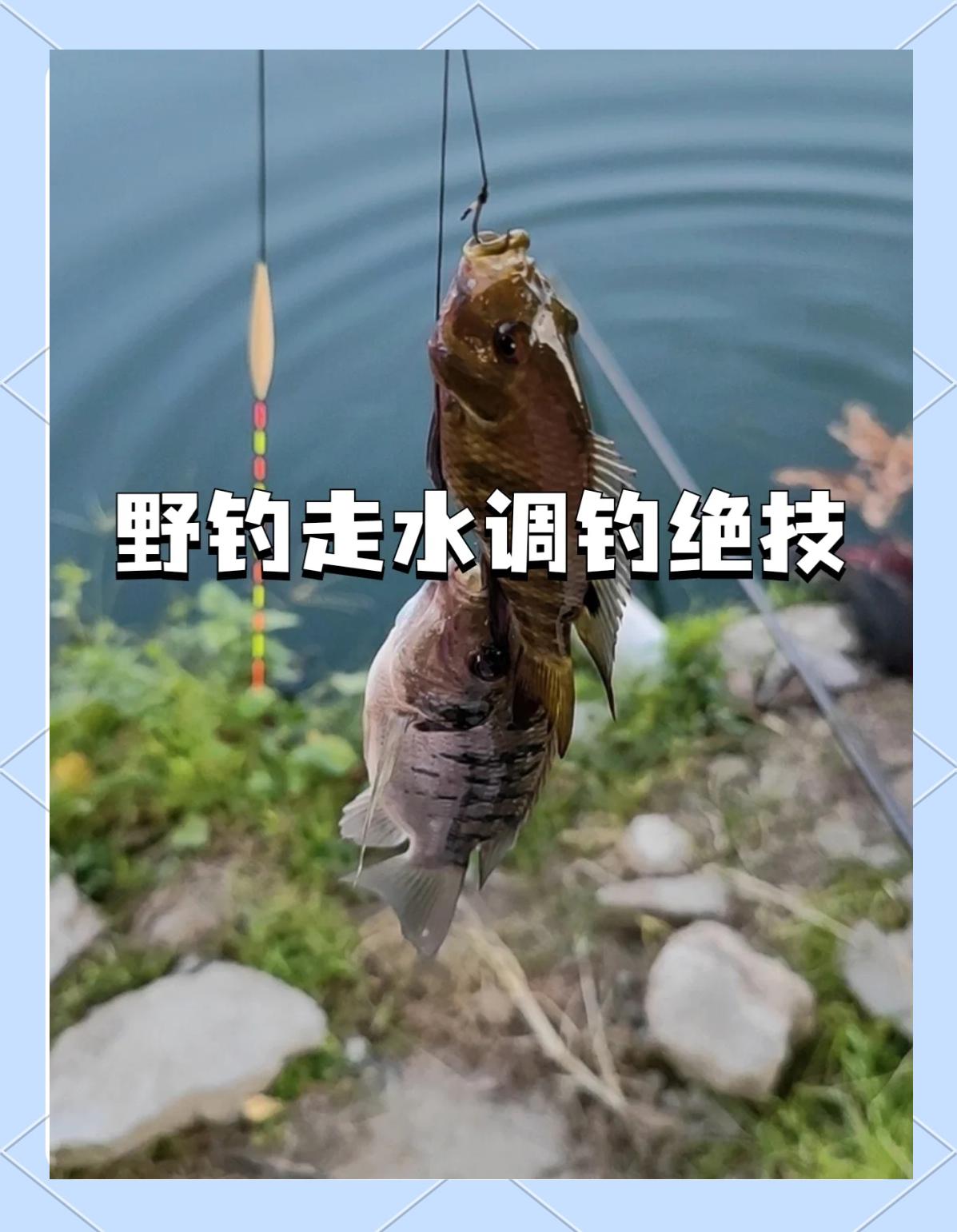 山东野钓技巧(山东野钓最好的地区)