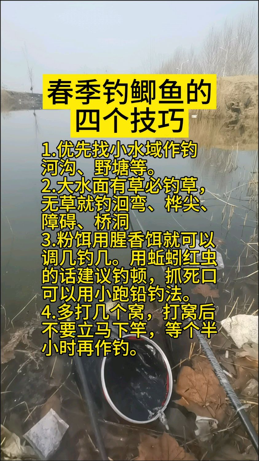 山东野钓技巧(山东野钓最好的地区)