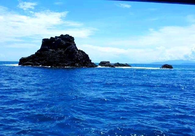 海钓梭鱼什么季节好(海梭鱼几月份开始钓)