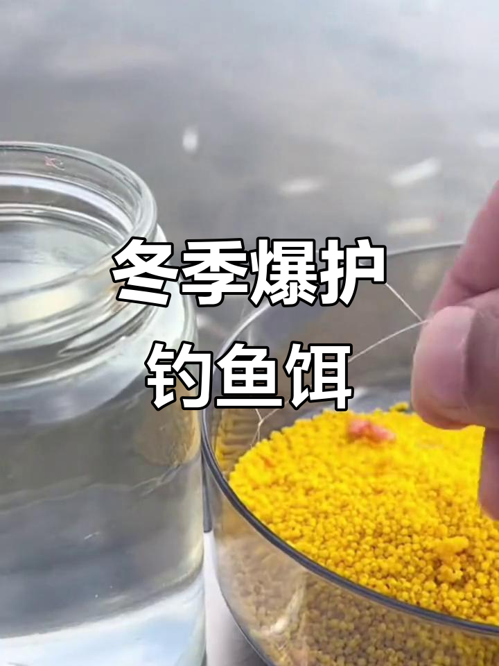 冬钓鱼的自制饵料(怎样自制冬天钓鱼小药)